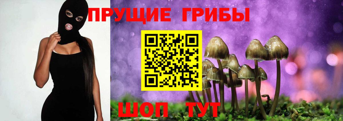 Азнакаево  Галлюциногенные грибы Psilocybine cubensis  Вход с VPN 